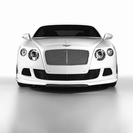 Forged LA VehiclePartsAndAccessories Bentley Continental Gt Gtc Front Bumper Grill Set Black W12