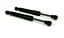 Genuine Bentley VehiclePartsAndAccessories Bentley Gt, Gtc & Flying Spur Front Hood Shocks Struts x 2 - Short