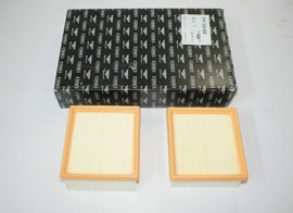 Genuine Bentley VehiclePartsAndAccessories Bentley Mulsanne Air Filter Set - Genuine